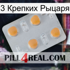 3 Крепких Рыцаря 24